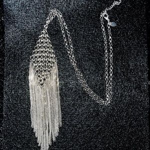 Silver chain link long necklace